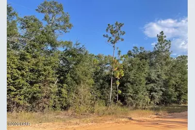 0 Koskiusko Drive, Alford, FL 32420 - Photo 3