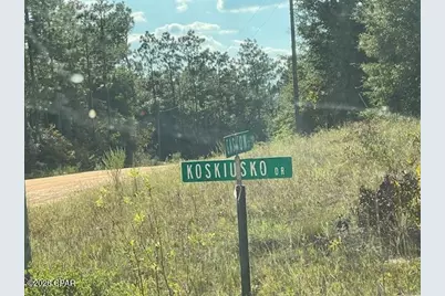 0 Koskiusko Drive, Alford, FL 32420 - Photo 9