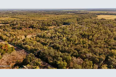 Lot 2 Oscar Road, Greenwood, FL 32443 - Photo 3