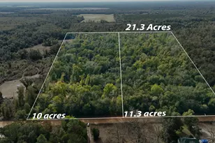 Lot 2 Oscar Rd, Greenwood, FL 32443 - Photo 1
