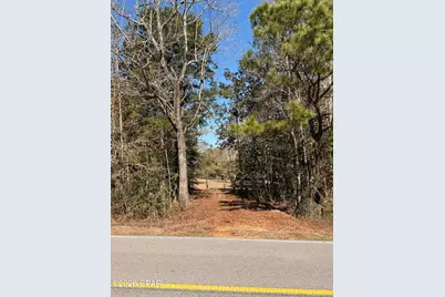 0 Hwy 2A, Westville, FL 32464 - Photo 5