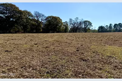 0 Hwy 2A, Westville, FL 32464 - Photo 13