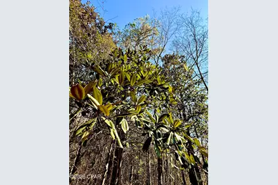 0 Hwy 2A, Westville, FL 32464 - Photo 3
