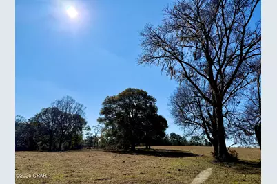 0 Hwy 2A, Westville, FL 32464 - Photo 23