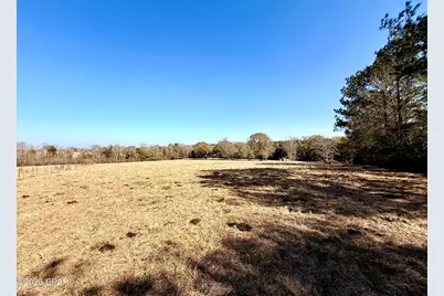 0 Hwy 2A, Westville, FL 32464 - Photo 7