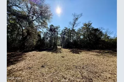 0 Hwy 2A, Westville, FL 32464 - Photo 27