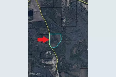 25 Acres Davenport Road, Marianna, FL 32448 - Photo 5