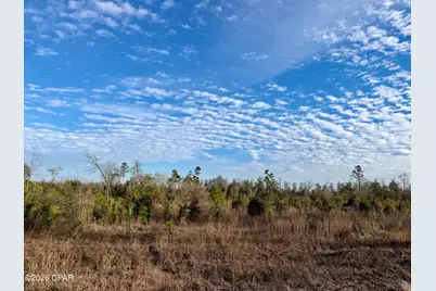 25 Acres Davenport Road, Marianna, FL 32448 - Photo 1