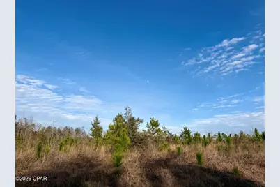 25 Acres Davenport Road, Marianna, FL 32448 - Photo 3