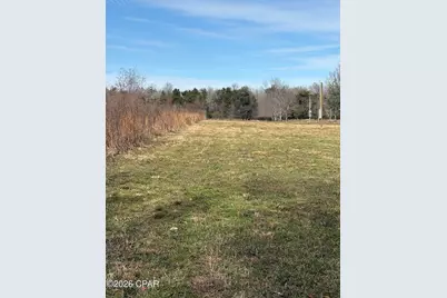 3145 Leamon Smith Road, Bonifay, FL 32425 - Photo 3