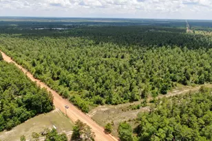 0000 77 Hwy, Chipley, FL 32428 - Photo 47