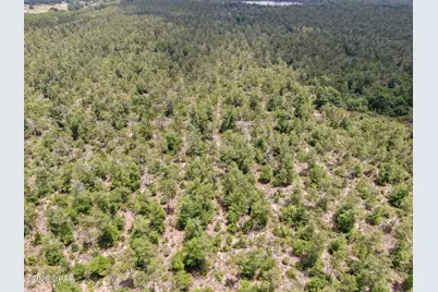 0000 77 Highway, Chipley, FL 32428 - Photo 43