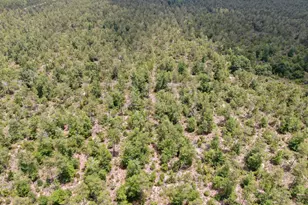 0000 77 Hwy, Chipley, FL 32428 - Photo 43