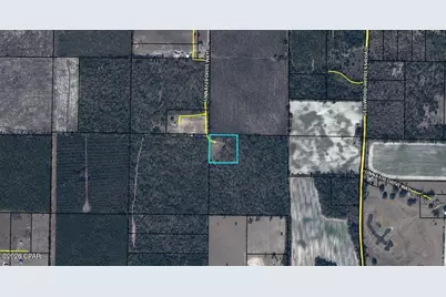 6297 Americus Road, Marianna, FL 32446 - Photo 3