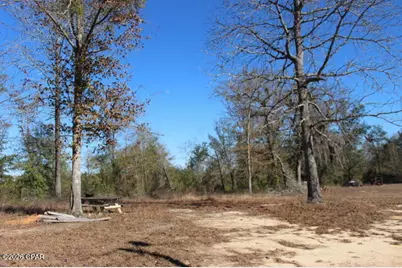 6297 Americus Road, Marianna, FL 32446 - Photo 9