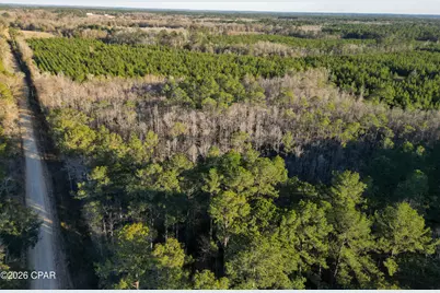 Tbd S County Road 65, Bonifay, FL 32425 - Photo 7