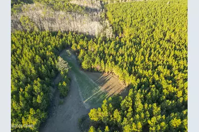 Tbd S County Road 65, Bonifay, FL 32425 - Photo 9