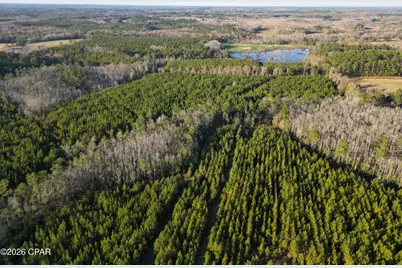 Tbd S County Road 65, Bonifay, FL 32425 - Photo 5