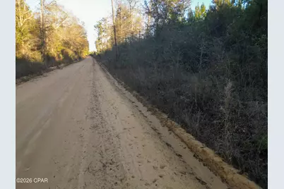 Tbd S County Road 65, Bonifay, FL 32425 - Photo 13