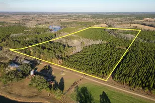 Tbd S County Road 65, Bonifay, FL 32425 - Photo 1