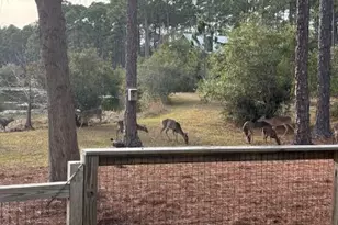 8419 Deepwater Creek Ln, Panama City Beach, FL 32413 - Photo 37