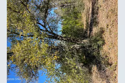 00000 Velvet Drive, Chipley, FL 32428 - Photo 9
