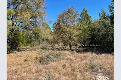 00000 Velvet Drive, Chipley, FL 32428 - Photo 7