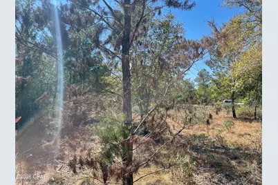 00000 Velvet Drive, Chipley, FL 32428 - Photo 11