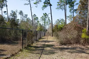 8407 Mudd Ln, Panama City, FL 32409 - Photo 33