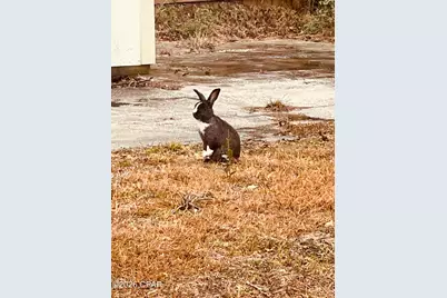 3133 Jenks Avenue, Panama City, FL 32405 - Photo 13