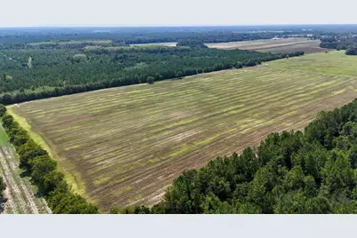 0 Peanut Road, Cottondale, FL 32431 - Photo 1