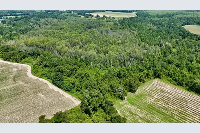 0 Peanut Road, Cottondale, FL 32431 - Photo 9