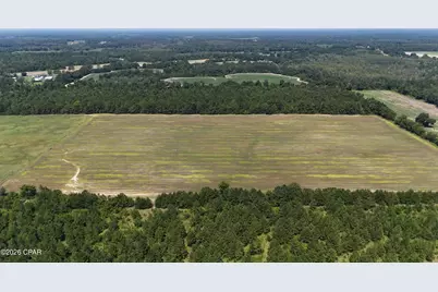 0 Peanut Road, Cottondale, FL 32431 - Photo 3