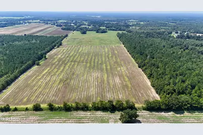 0 Peanut Road, Cottondale, FL 32431 - Photo 5