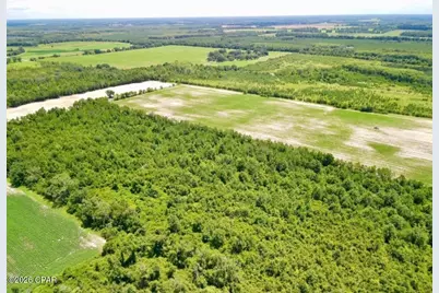 0 Peanut Road, Cottondale, FL 32431 - Photo 3