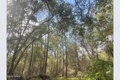 0000 Lavon Road, Milton, FL 32583 - Photo 7