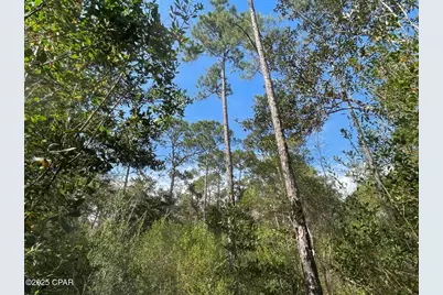 0000 Lavon Road, Milton, FL 32583 - Photo 1