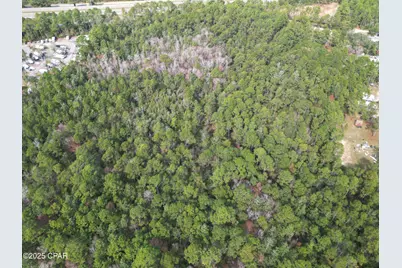 0000 Lavon Road, Milton, FL 32583 - Photo 3