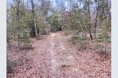 3340 Varsey Lane, Marianna, FL 32448 - Photo 5