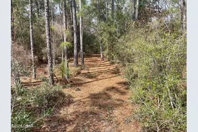 3340 Varsey Lane, Marianna, FL 32448 - Photo 13