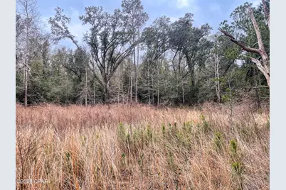 3340 Varsey Lane, Marianna, FL 32448 - Photo 11