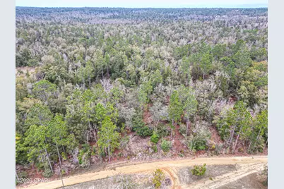 3340 Varsey Lane, Marianna, FL 32448 - Photo 3