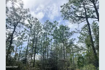 3340 Varsey Lane, Marianna, FL 32448 - Photo 15