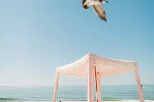 3300 US-98, Mexico Beach, FL 32456 - Photo 3