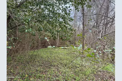 0 Fl-65, Hosford, FL 32334 - Photo 5