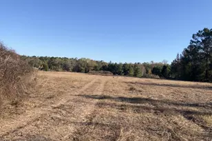 0 Fl-65, Hosford, FL 32334 - Photo 1
