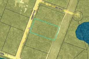 00 Anderson Dr, Alford, FL 32420 - Photo 1