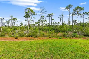 303 Vermilion Cir, Port Saint Joe, FL 32456 - Photo 37