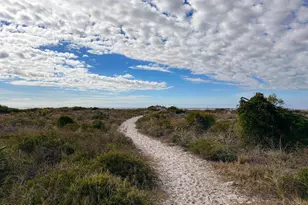 1861 Backwater Rd, Port Saint Joe, FL 32456 - Photo 29