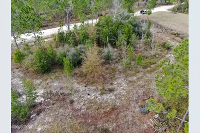 706 Dead Lakes Drive, Wewahitchka, FL 32465 - Photo 17